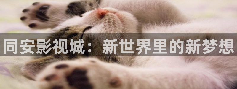 爱丫爱丫影院最新电视剧：同安影视城：新世界里的新梦想