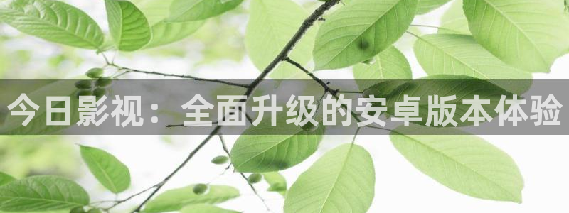 爱丫爱丫在线影院樱花动漫电视剧免费观看：今日影视：全面升级的安卓版本体验