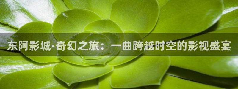 爱丫爱丫最新电视剧免费看：东阿影城·奇幻之旅：一曲跨越时空的影视盛宴