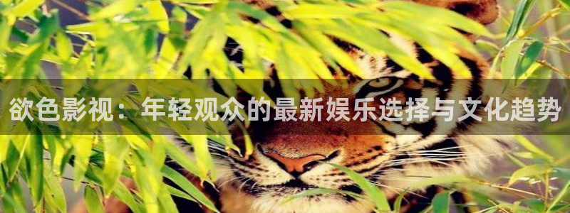 爱丫爱丫电影在线观看网址：欲色影视：年轻观众的最新娱乐选择与文化趋势