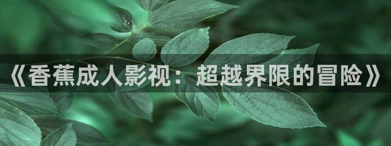 爱丫爱丫成全免费高清电视剧动漫：《香蕉成人影视：超越界限的冒险》
