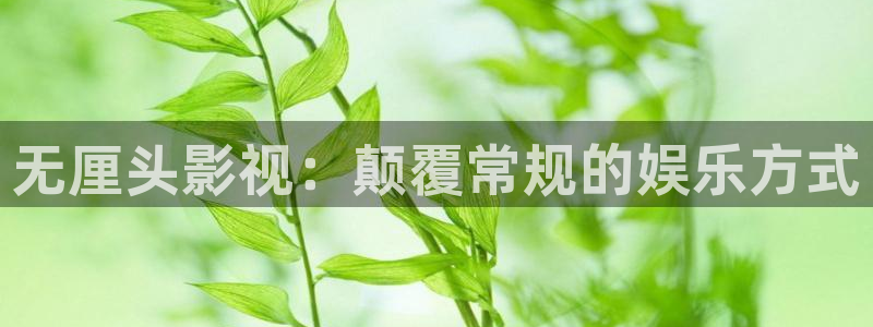 爱丫爱丫兄妹影院电视剧免费动漫：无厘头影视：颠覆常规的娱乐方式