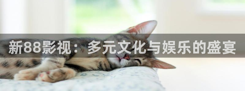 爱丫爱丫在线影院：新88影视：多元文化与娱乐的盛宴
