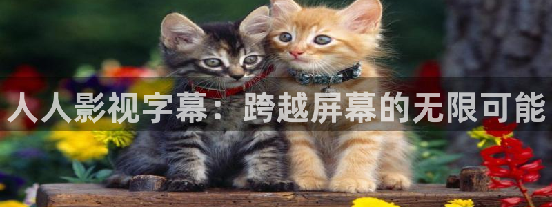 爱丫爱丫电视剧在线播放孝感江湖：人人影视字幕：跨越屏幕的无限可能