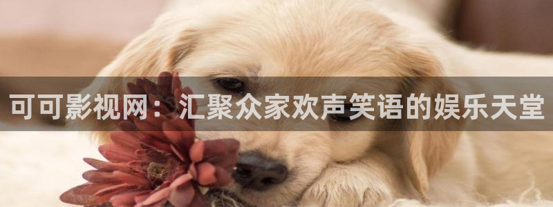 爱丫爱丫在线影院电视剧五福：可可影视网：汇聚众家欢声笑语的娱乐天堂