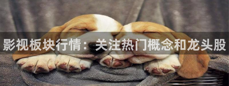 爱丫爱丫在线影院电视剧免费动漫：影视板块行情：关注热门概念和龙头股