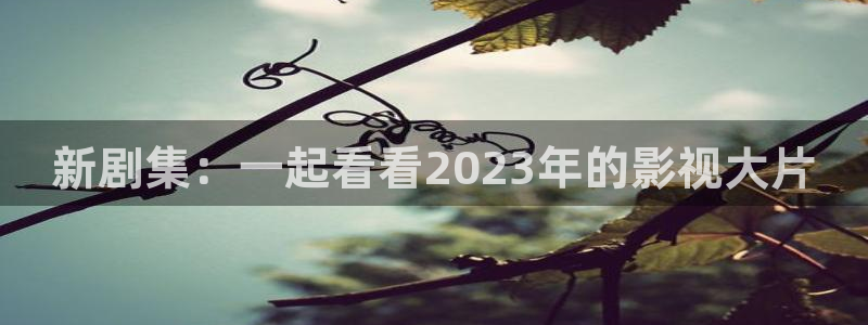 好姑娘爱丫爱丫免费观看电视剧：新剧集：一起看看2023年的影视大片