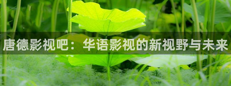 爱丫爱丫兄妹电视剧在线观看：唐德影视吧：华语影视的新视野与未来