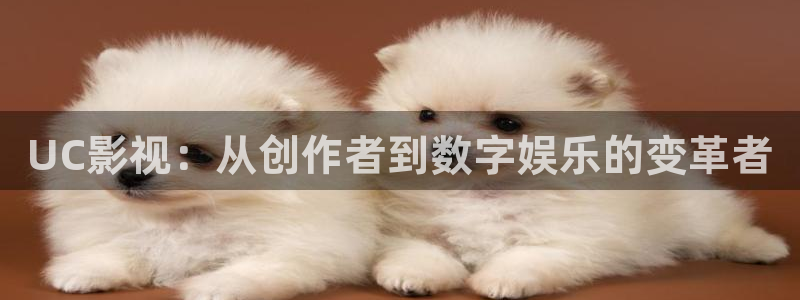 爱丫爱丫影院在线看：UC影视：从创作者到数字娱乐的变革者