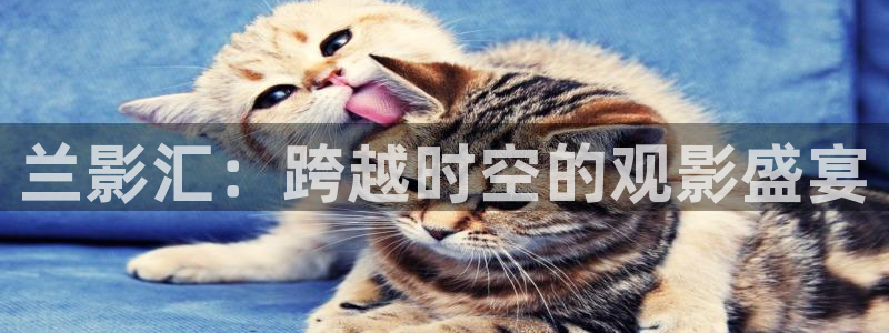 爱丫爱丫影院免费观看电视剧版：兰影汇：跨越时空的观影盛宴
