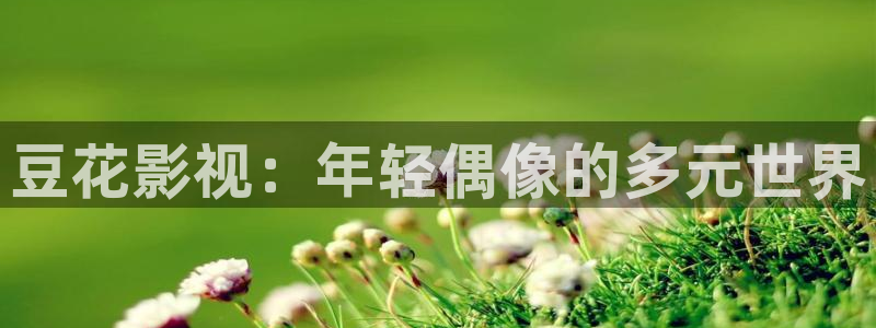 爱丫爱丫免费播放电视剧：豆花影视：年轻偶像的多元世界