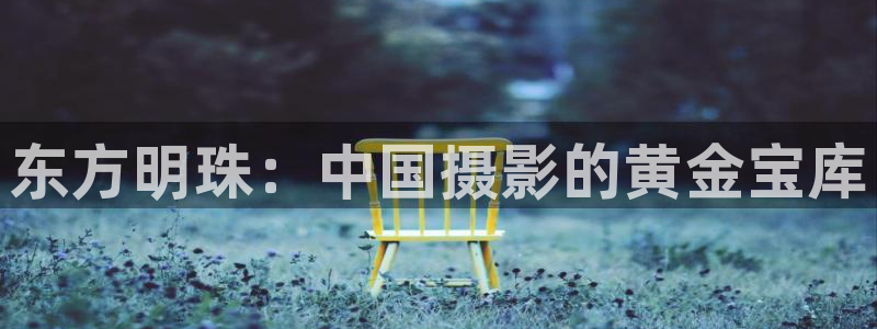 爱爱丫爱丫在线观看高清电视剧：东方明珠：中国摄影的黄金宝库