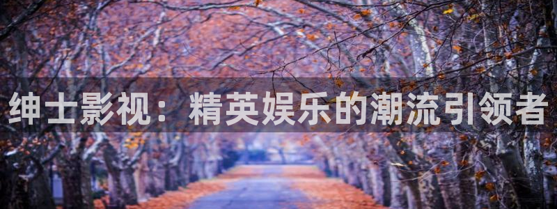 辣妹子爱丫爱丫电视剧在线观看：绅士影视：精英娱乐的潮流引领者