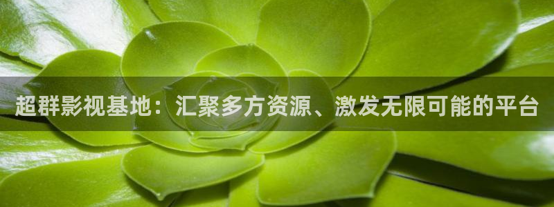 爱丫爱丫免费高清电视剧大全：超群影视基地：汇聚多方资源、激发无限可能的平台
